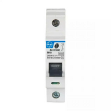 Load image into Gallery viewer, BA10060B L&amp;T - 6A SP 6KA TYPE B MCB