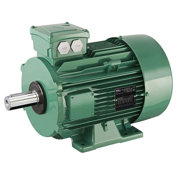 LSES 100LG Emerson - Leroy Somer