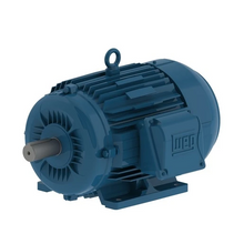 Load image into Gallery viewer, WEG Electric  11802366