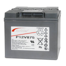 Load image into Gallery viewer, P12V875 Exide