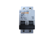 Load image into Gallery viewer, 21334 Merlin Gerin