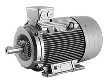 Load image into Gallery viewer, Siemens  1LG62234AA60Z