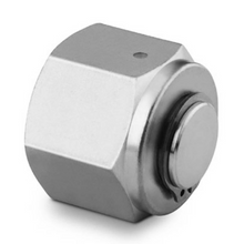 Load image into Gallery viewer, SS-1210-P Swagelok