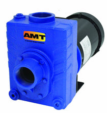 Load image into Gallery viewer, 2766-95 AMT Pumps