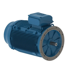 Load image into Gallery viewer, WEG Electric  12863316