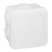 Load image into Gallery viewer, 092013 Legrand