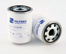 Load image into Gallery viewer, A120G06 Bosch Rexroth - Filtrec
