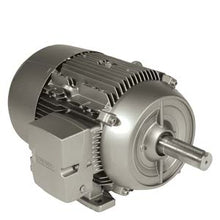 Load image into Gallery viewer, 1LE2121-2BA11-4AA3 Siemens
