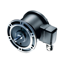 Load image into Gallery viewer, 11071531 Baumer Electric - POG9 DN 1024
