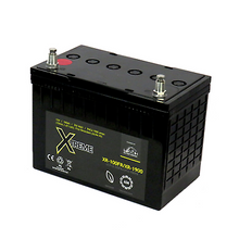 Load image into Gallery viewer, Leoch  XR100FRXR1900