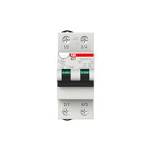 Load image into Gallery viewer, DS202CRLC10AC30 ABB