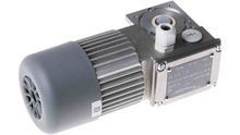 Load image into Gallery viewer, Mini Motor  MC244PT