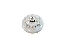 Load image into Gallery viewer, 040207 Consilium