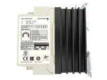 Load image into Gallery viewer, RGC1P48V42ED Carlo Gavazzi
