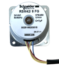 Load image into Gallery viewer, RSM42/8FG Schneider Electric