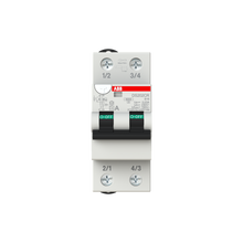 Load image into Gallery viewer, 2CSR752140R1105 ABB - DS202CR B10 A30
