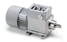 Load image into Gallery viewer, 013V-D25 Micro Motors