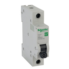 Load image into Gallery viewer, A9N1P06C Schneider Electric