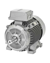 Load image into Gallery viewer, 1LE1001-0DB22-2FA4-Z Siemens