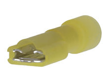 Load image into Gallery viewer, 19276-0008 Molex - C-2293-LIF