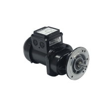 Load image into Gallery viewer, BG06-31/D04LA4/SP Bauer