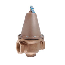 Load image into Gallery viewer, 0298607 Watts - LFN223M2-B-HP 2 1/2