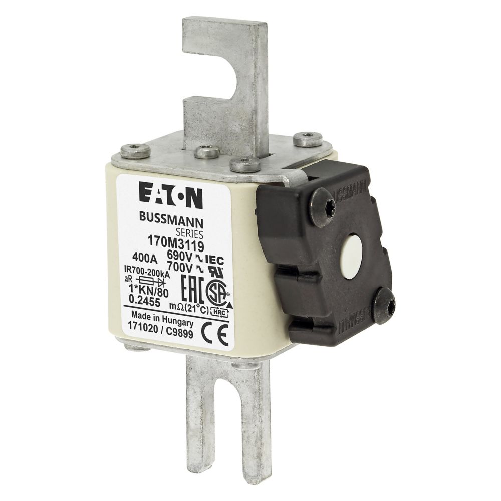 170M3119 Eaton Bussmann