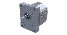 Load image into Gallery viewer, SNP1NN/1,2RN01BAP1F3F3NNNN/NNNNN Danfoss