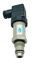 Load image into Gallery viewer, RC861CZ091ZSSYM Pall