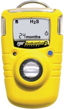 Load image into Gallery viewer, GA24XT-H BW Technologies
