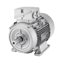 Load image into Gallery viewer, Siemens  1LA91662LA61