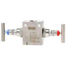 Load image into Gallery viewer, 46962323 Wika - IV202 1/2 NPT F - 1/2 NPT F 316/316L VENT 1/4NPT F PTFE