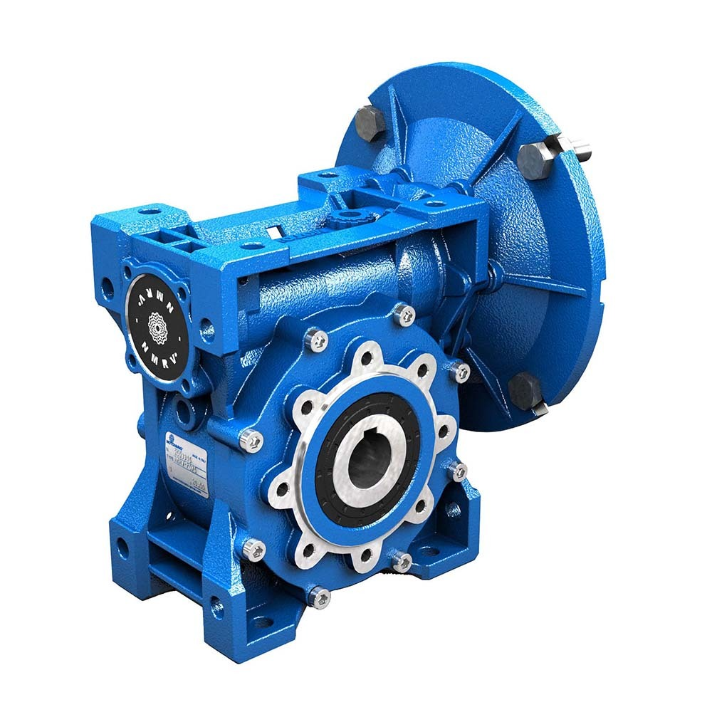 NMRV40 R.1/020 PAM 11X90 D18 Motovario