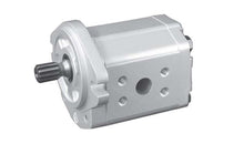 Load image into Gallery viewer, 111.20.282.00 Danfoss - SNP2NN/014RN01BAP1F5F4NNNN/NNNNN