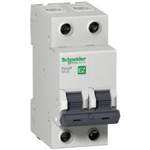 Load image into Gallery viewer, Schneider Electric  EZ9F33216