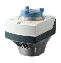 Load image into Gallery viewer, SAL81.00T20 Siemens - S55162-A106