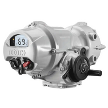 Load image into Gallery viewer, IQT250 Rotork