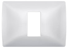 Load image into Gallery viewer, BTicino  QZ4803M1BN