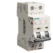 Load image into Gallery viewer, Siemens  5SY62048CC