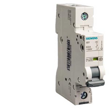 Load image into Gallery viewer, 5SY6125-7CC Siemens