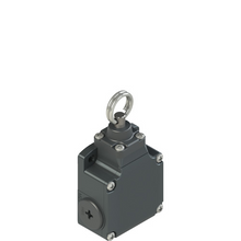 Load image into Gallery viewer, FL 576 Pizzato