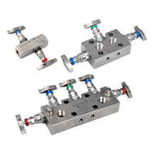 Load image into Gallery viewer, DA63M-AB2BB Endress + Hauser