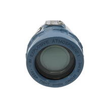 Load image into Gallery viewer, 3144PD1A1E5B4M5 Emerson