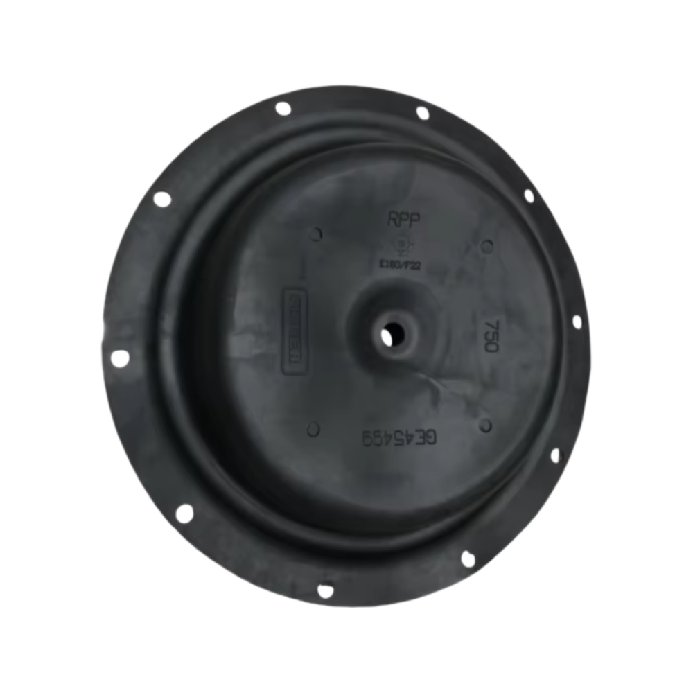 GE00259X012 Fisher
