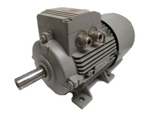 Load image into Gallery viewer, Siemens  1LA71074AA60