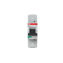 Load image into Gallery viewer, 2CCS811001R0844 ABB - S801B-C125