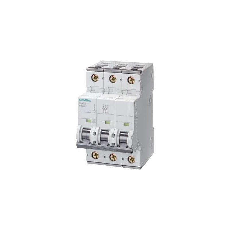 5SY6313-6 Siemens