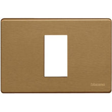 Load image into Gallery viewer, 503/1A/BR BTicino