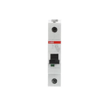 Load image into Gallery viewer, 2CDS251001R0205 ABB - S201-B20