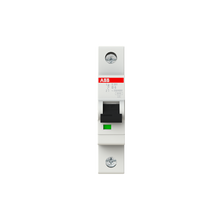 Load image into Gallery viewer, 2CDS251001R0065 ABB - S201-B6